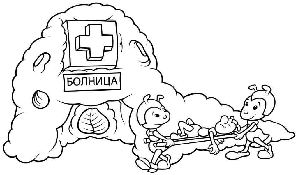 болница за мравки