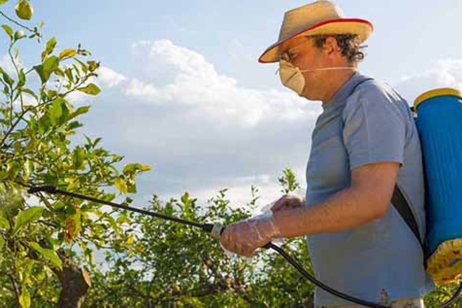 резисистентност към инсектициди