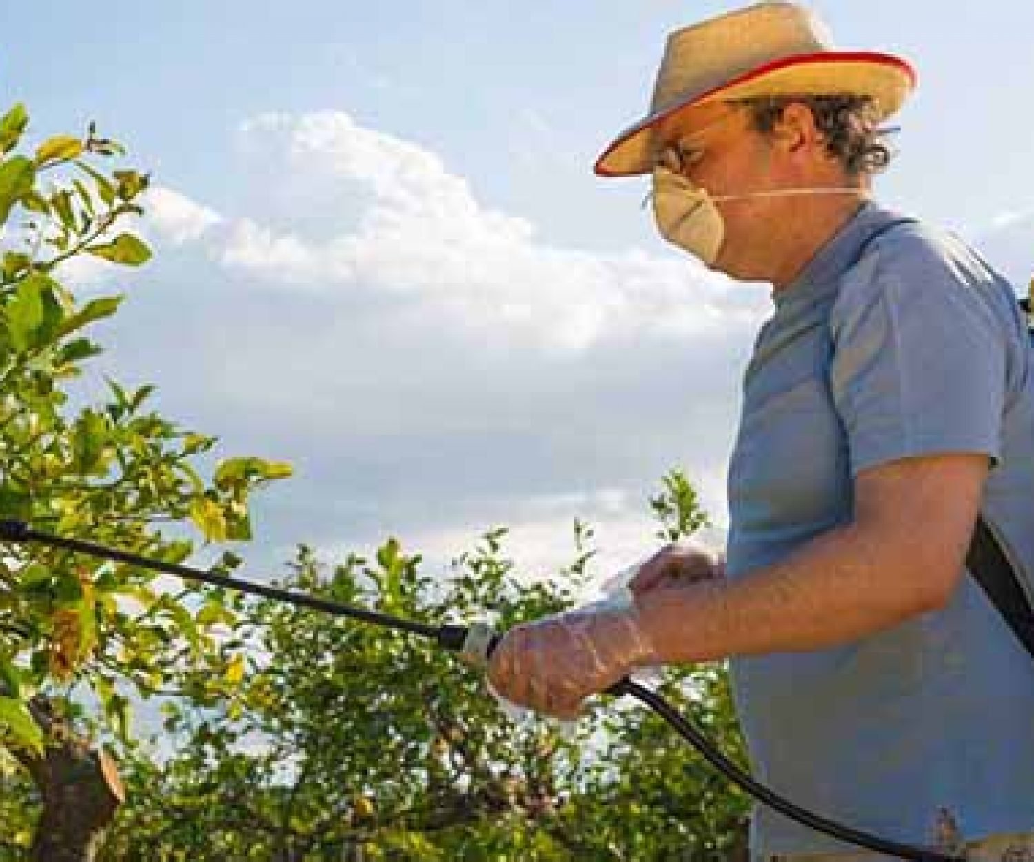 резисистентност към инсектициди