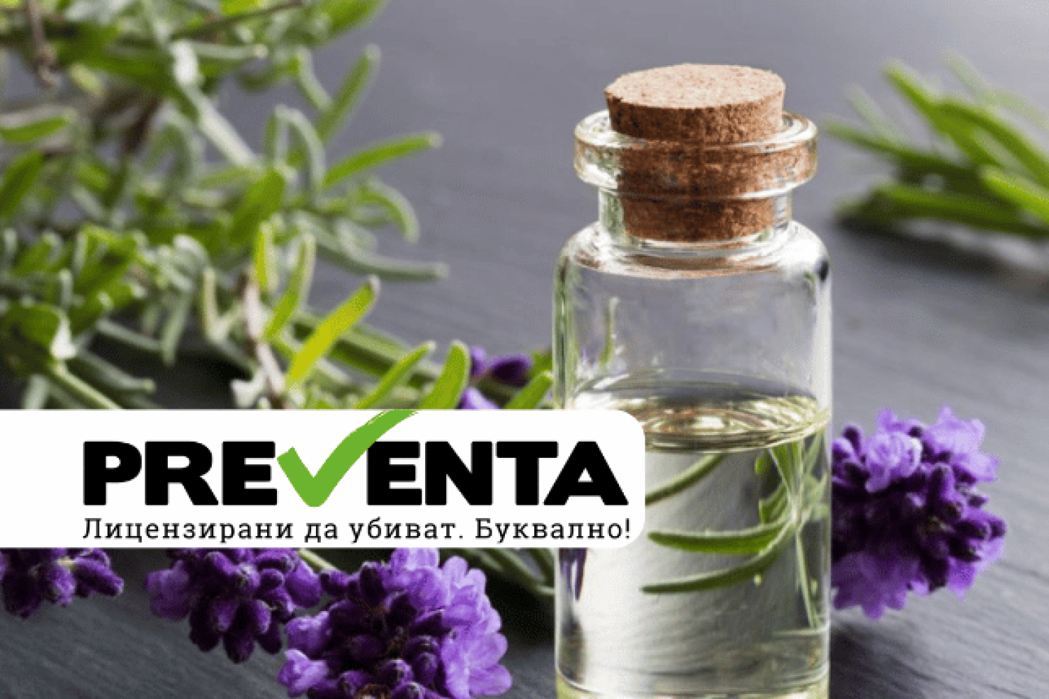 Етеричните масла като средство за борба с хлебарките