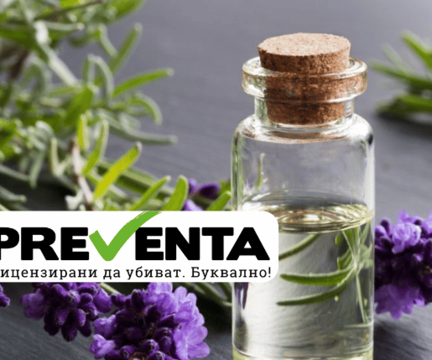 Етеричните масла като средство за борба с хлебарките