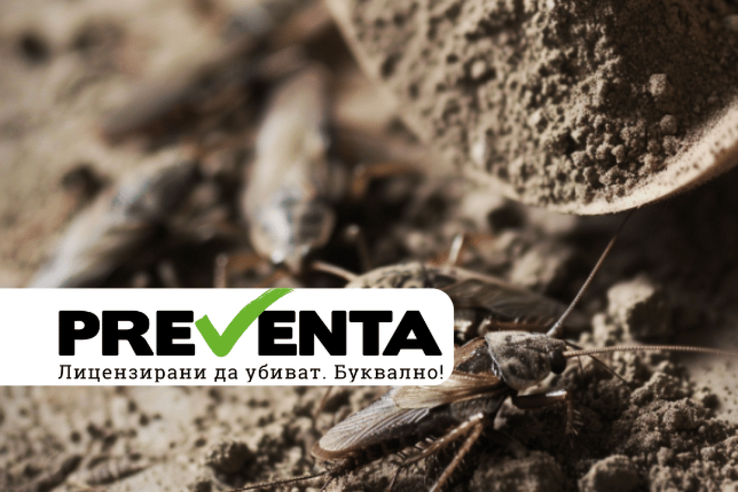 Хлебарките, лунният прах и изкуството на адаптацията