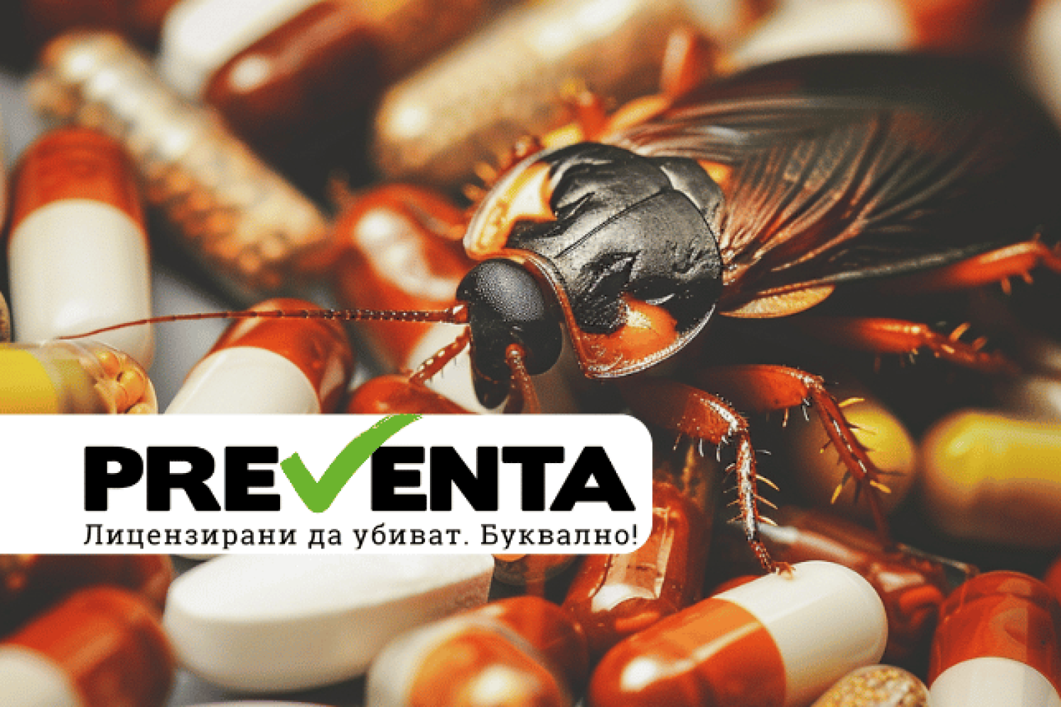 За нелегално продавания препарат "Регент", фипронила и как евтиното може да ни струва най-скъпото - здравето