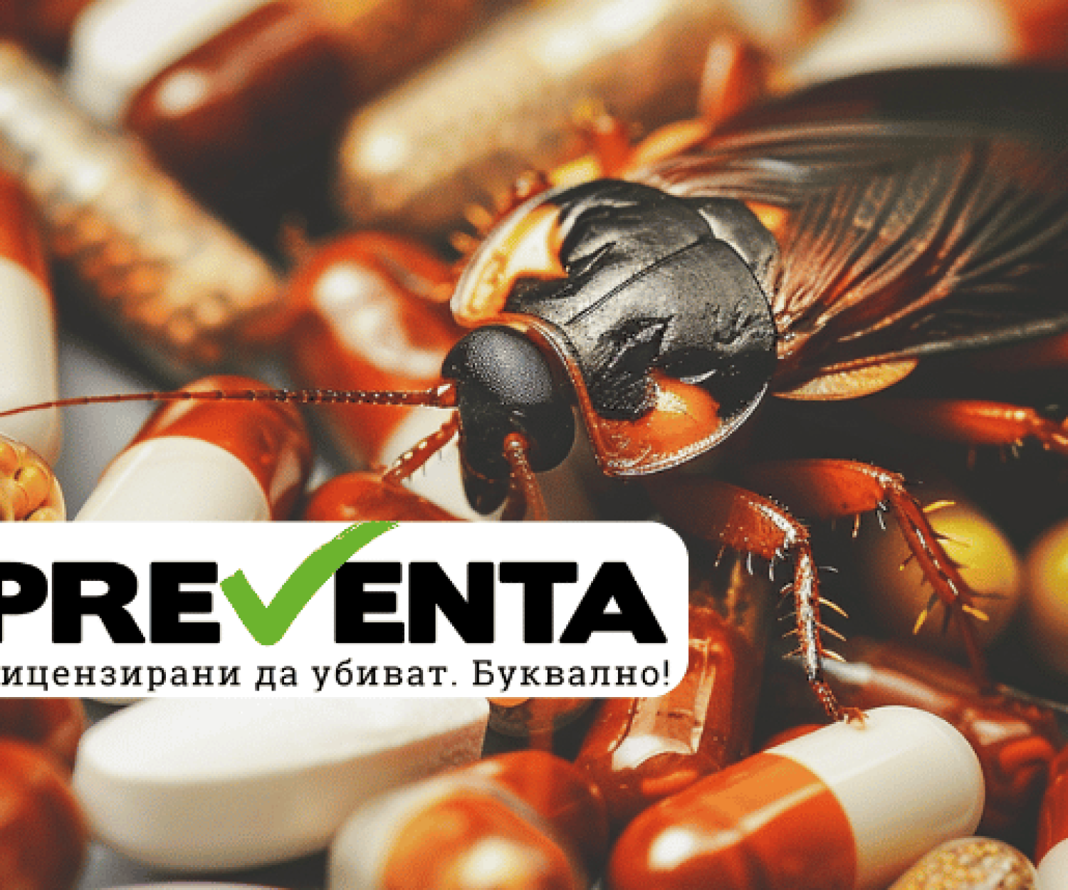 За нелегално продавания препарат "Регент", фипронила и как евтиното може да ни струва най-скъпото - здравето