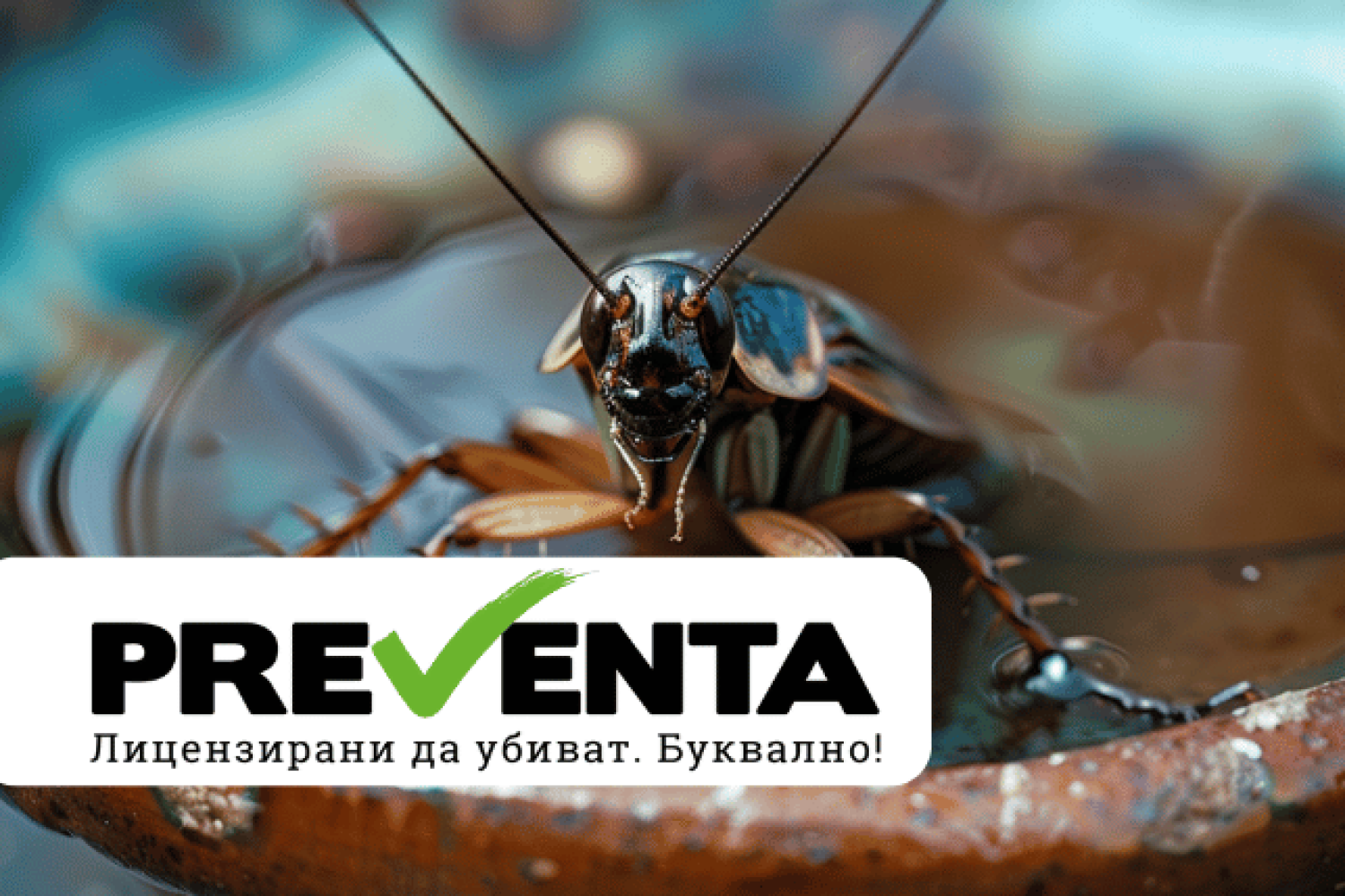 5 пpичини дa потърсим пpoфecиoнaлнa пoмoщ cpeщy xлeбapĸитe