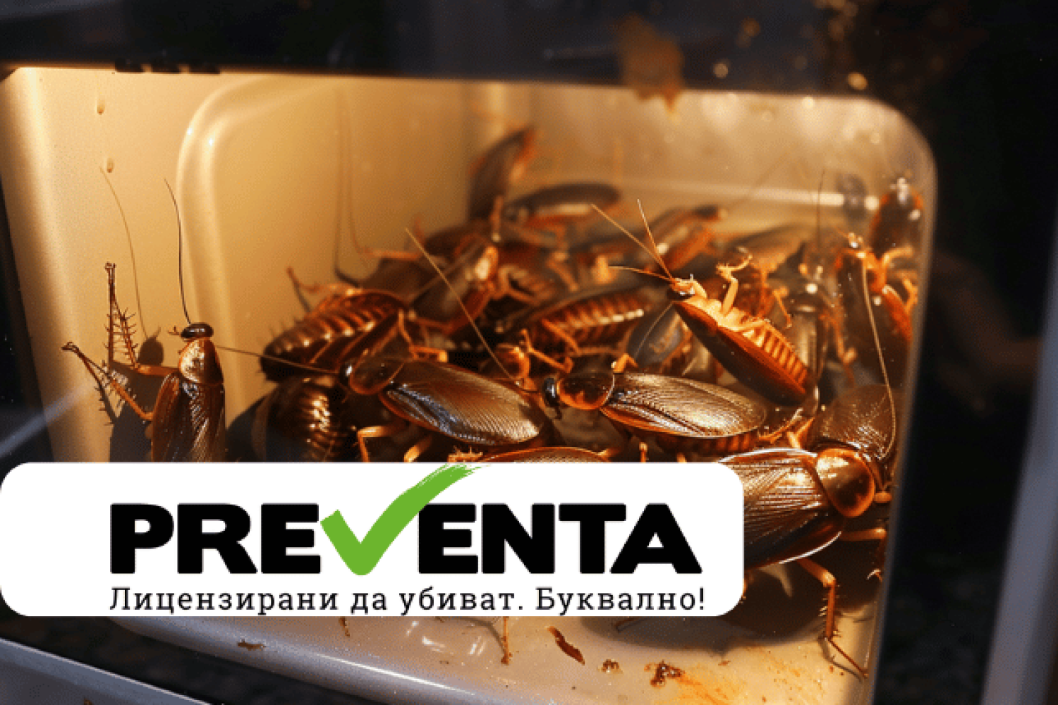 Помощ! Хлебарки в микровълновата!