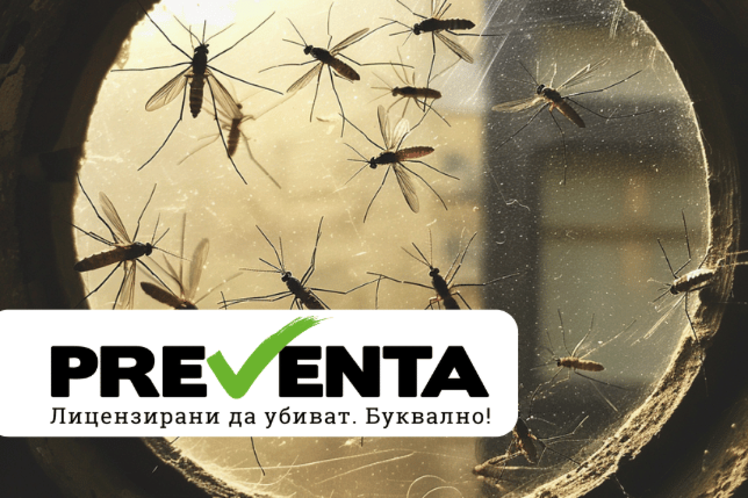 Кои са най-добрите домашни рецепти срещу комари?