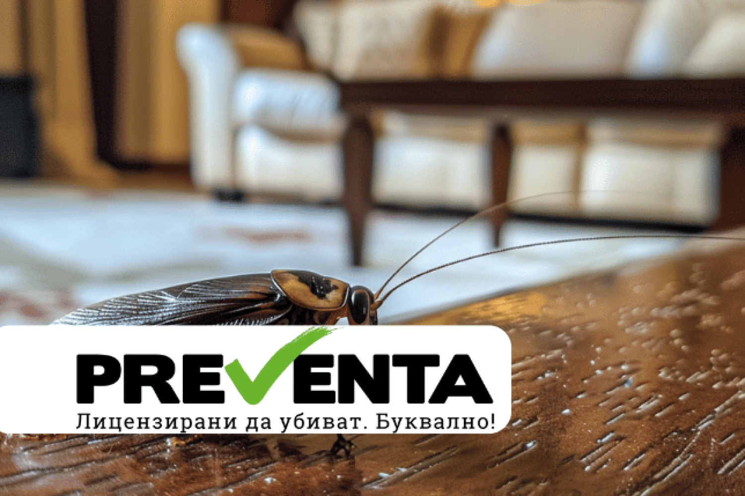 Какво да предприемем, ако видим хлебарка в дома си?