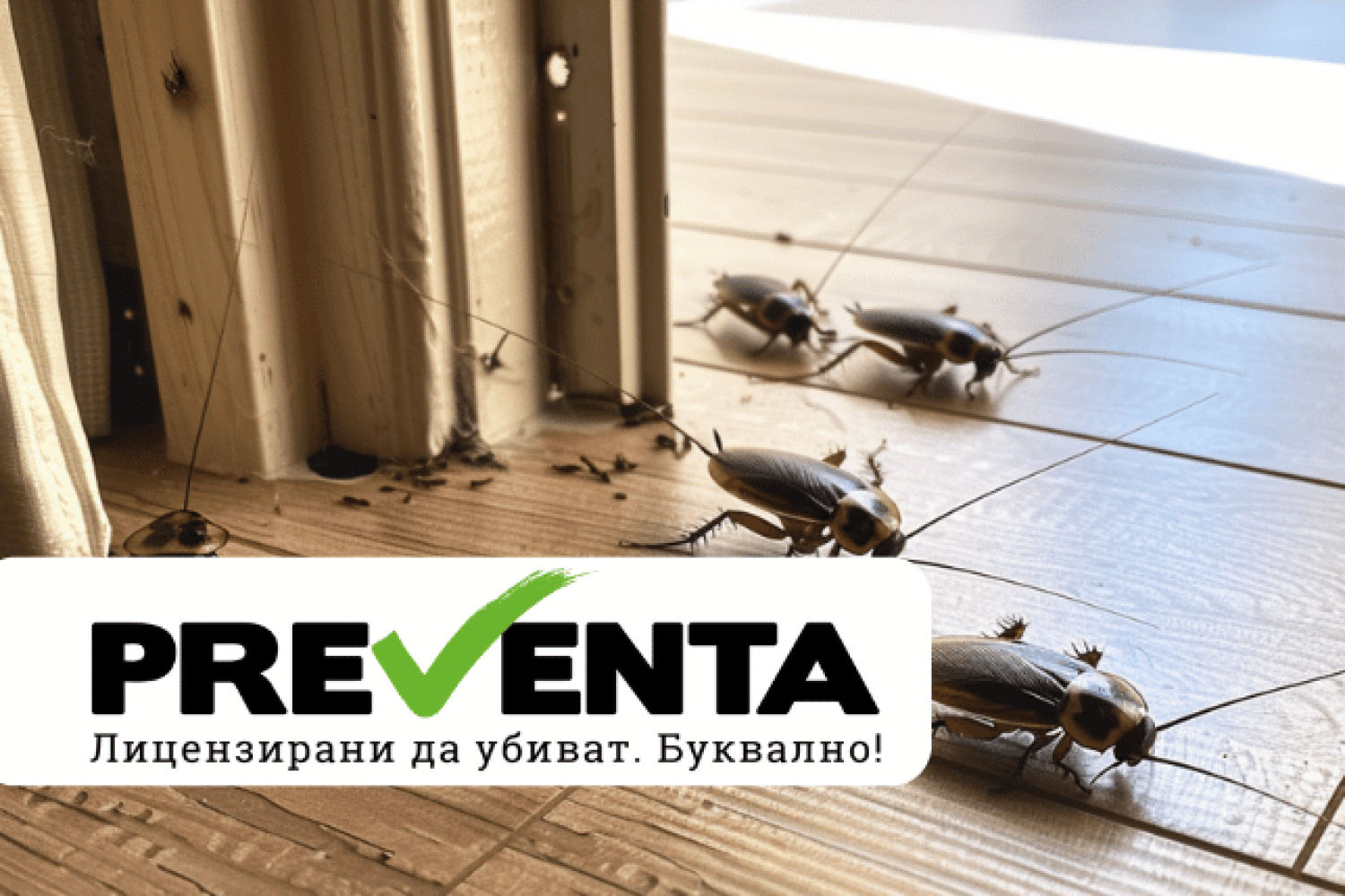 Как да предотвратим проникването на хлебарки в дома си?