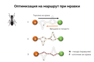 Пътките на мравките и тяхната естествена оптимизация
