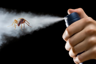 Какво трябва да знаете за препаратите срещу дървеници