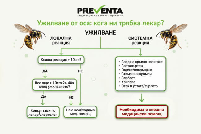 Кога да се обрнете към лекар и доколко е спешно след ужилване от оса