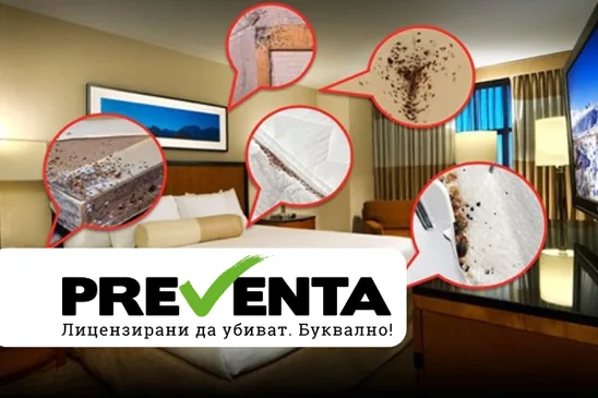 Да си донесеш сувенир от почивката – дървеници!